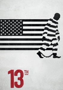 A 13ª Emenda (2016)
