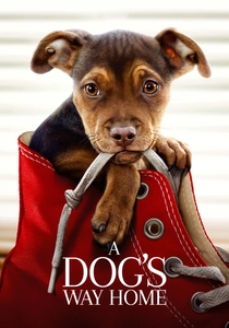 A Incrível Aventura de Bella (2019)