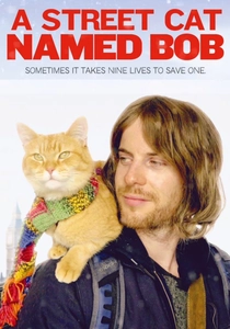A Vida Secreta dos Gatos (2016)