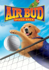 Vôlei e Amizade (2003)