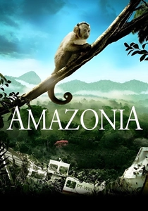 A Floresta Amazônica (2013)