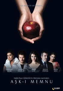 Amor Proibido (2008)