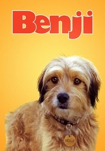 O Cão e o Seu Dono (1974)