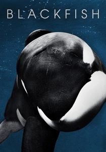 Blackfish: Fúria Animal (2013)