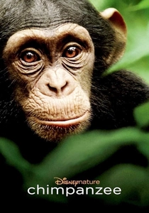 O Chimpanzé (2012)