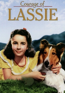 O Preço da Coragem (1946)