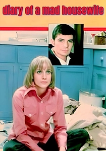 O Diário de uma Mulher (1970)