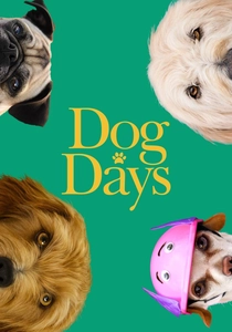 O Cão e o Seu Homem (2018)