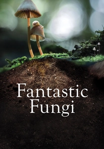 O Fantástico Mundo dos Fungos (2019)