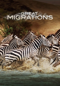 A Grande Migração (2010)