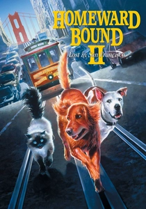 O Cãozinho e o Seu Dono 2 (1996)