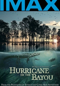 Sobrevivendo ao Furacão (2006)