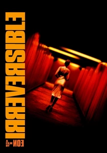 Irreversível (2002)