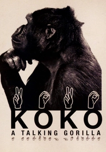 A Vida de Koko (1978)