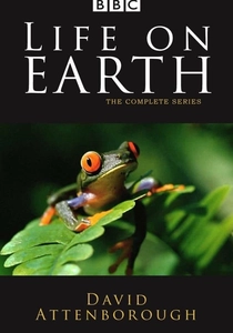 A Vida na Terra (1979)