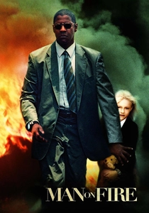 O Vingador (2004)
