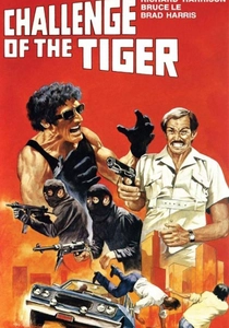 O Desafio do Dragão (1980)