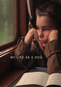 Minha Vida de Cão (1985)