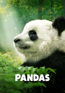 Pandas: O Filme (2018)