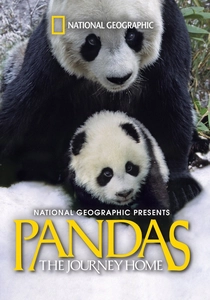 Pandas: A Jornada para Casa (2014)