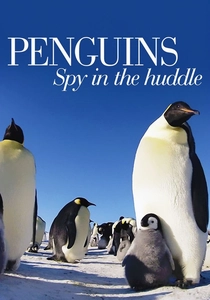 Pinguins em Perigo (2013)