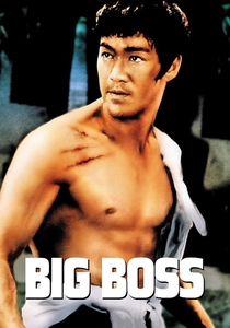 O Desafio do Tigre (1971)