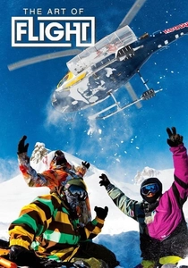 A Arte do Voo (2011)