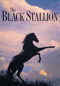 O Corcel Negro (1979)