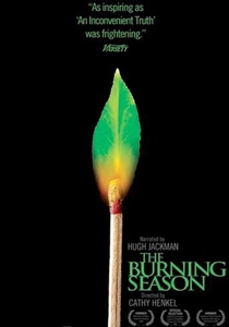 O Incêndio da Galeria (2008)