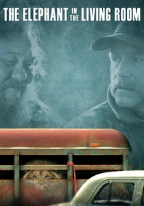 O Elefante na Sala (2010)