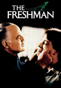 O Novato (1990)