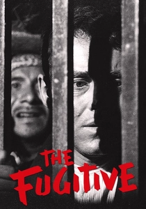 O Fugitivo (1947)