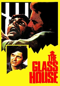 A Garota da Fábrica de Vidro (1972)