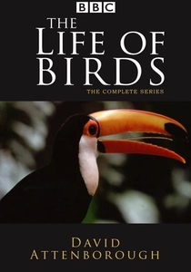 A Vida das Aves (1998)
