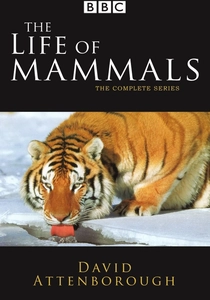 A Vida dos Mamíferos (2002)