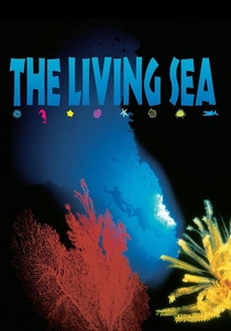 O Mar Infinito (1995)