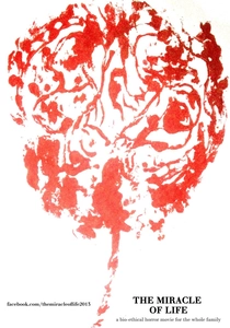 O Milagre da Vida (2012)