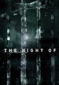 O Assassino da Noite (2016)