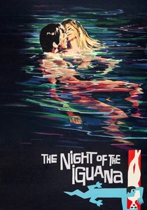 O Amante da Noite (1964)