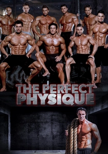 O Projeto de Perfeição (2015)