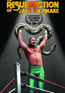 O Lutador: A Lenda de Jake Roberts (2015)