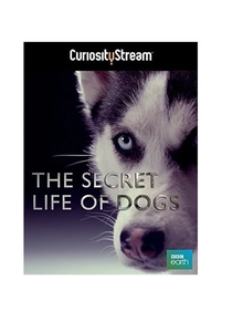 A Vida Secreta dos Cães (2013)