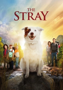 O Cão de Família (2017)