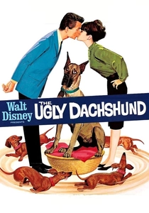 O Cão Danado (1966)