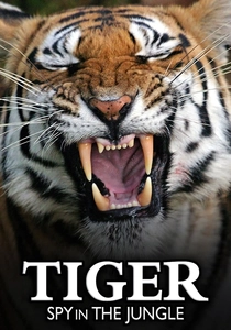 Tigre: O Rei da Selva (2008)