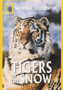 O Tigre e Eu (1997)