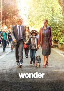 O Extraordinário (2017)