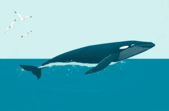 Filmes sobre Baleias: Uma Jornada Oceânica