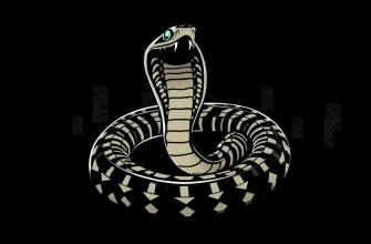 Top 10 Filmes sobre Cobras