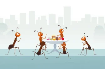 Filmes de Família com Baratas: Uma Aventura Inesperada